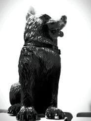 The Dog of Sarandi Alley