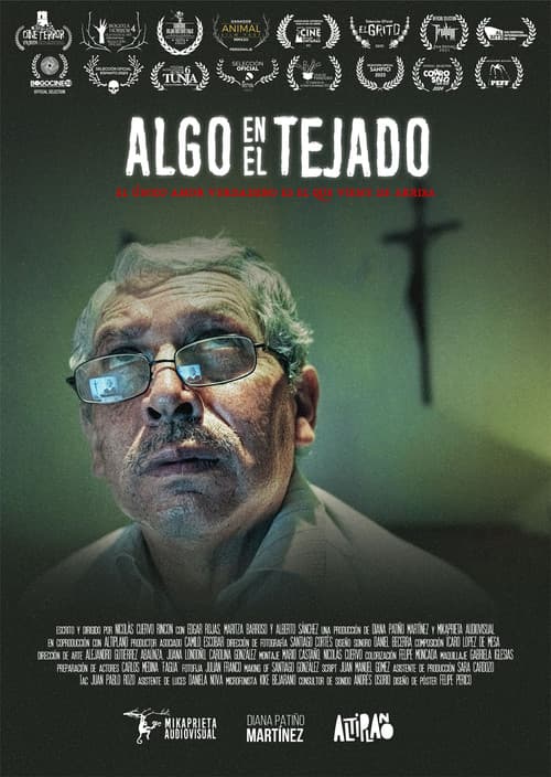 Something on the roof