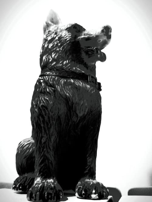 The Dog of Sarandi Alley